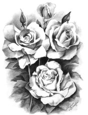 розы ч.б.jpg